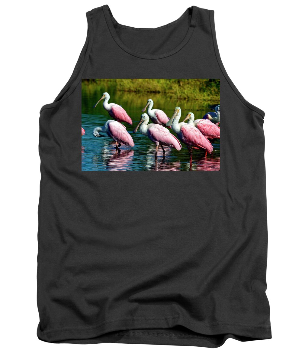 Roseate Spoonbill Birds Tank Top featuring the photograph Roseate Spoonbills by Sally Weigand