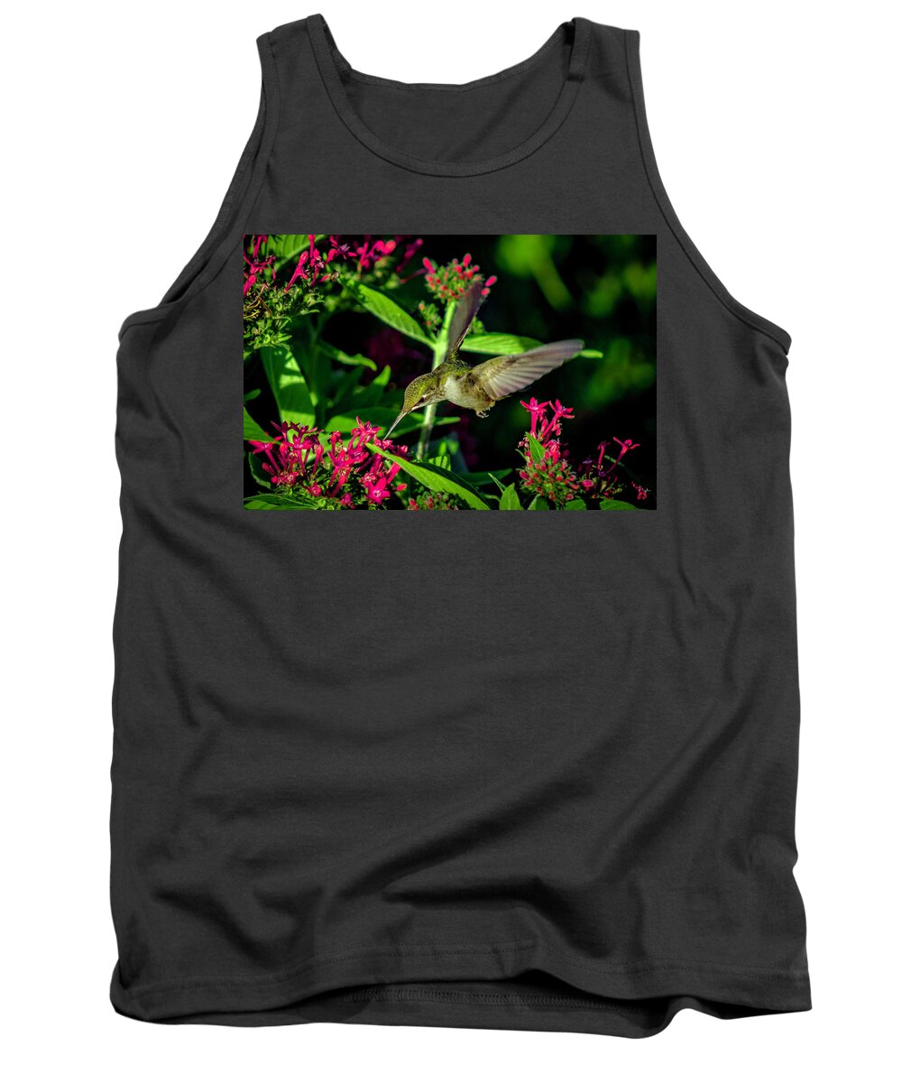 Bird Tank Top featuring the photograph Ruby and Red by Kevin Argue