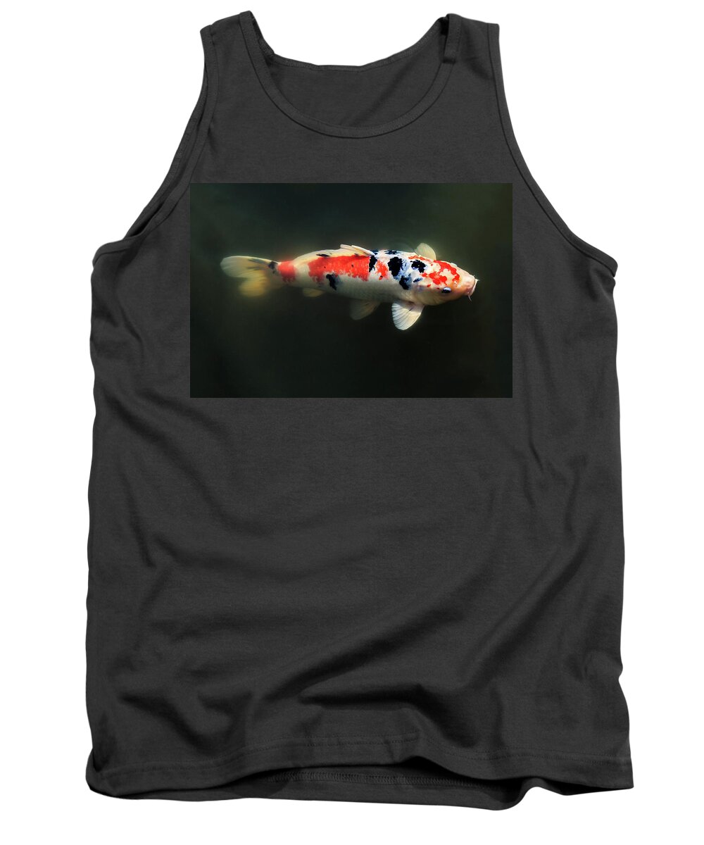 Japanese Garden Tank Top featuring the photograph Sanke Koi by Briand Sanderson