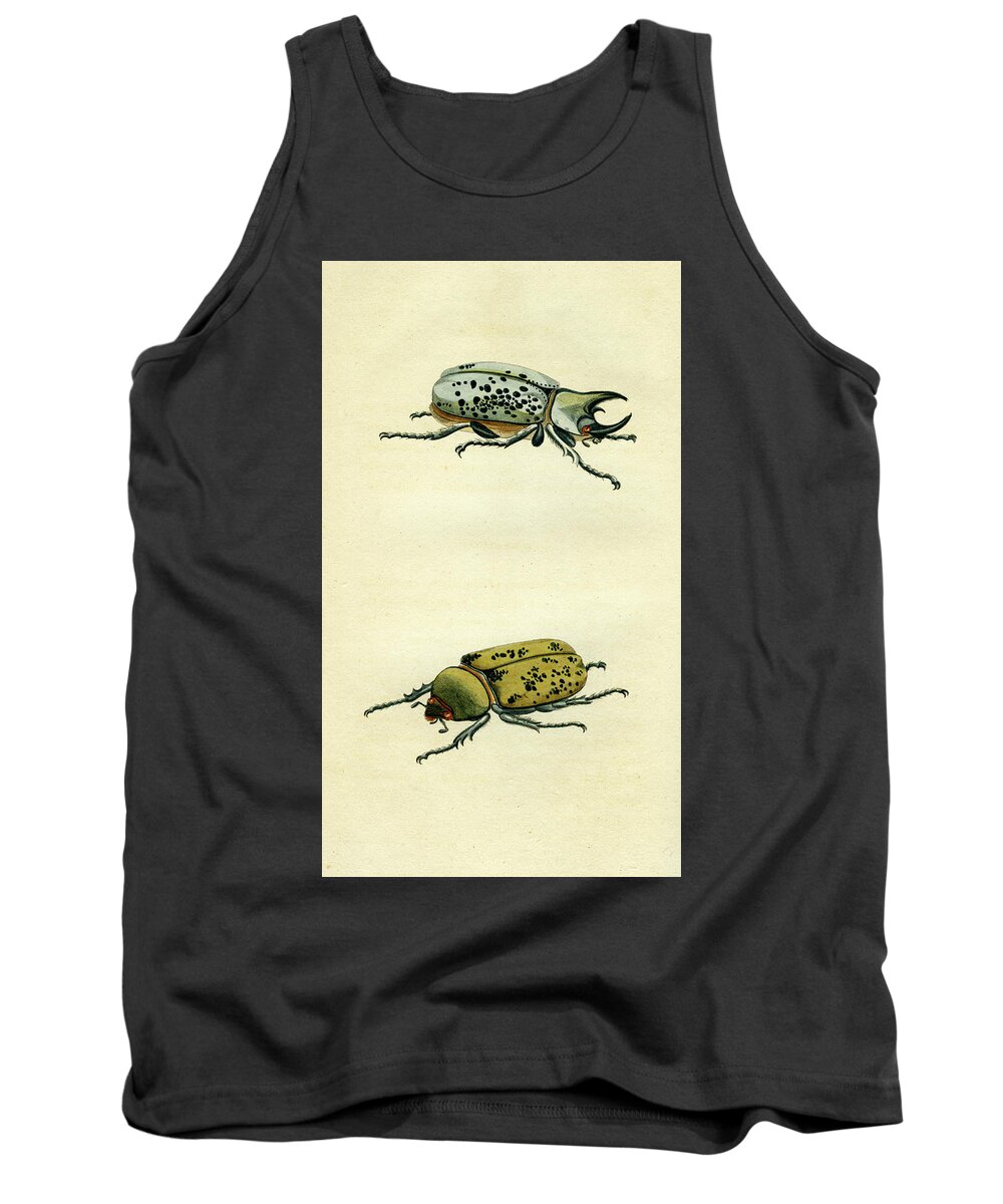 Entomology Tank Top featuring the mixed media Scarab Beetle by Unknown