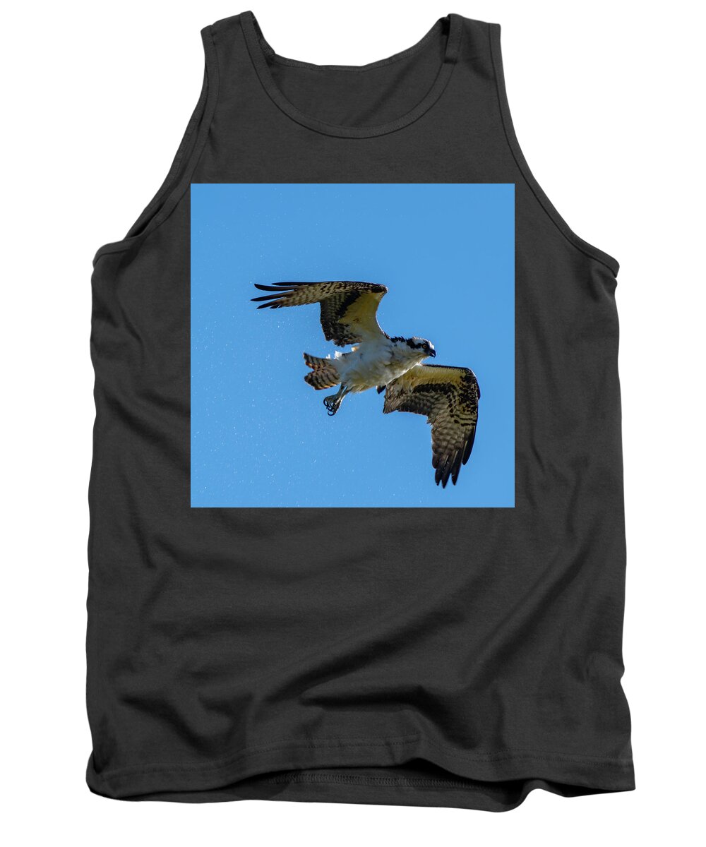 Osprey Tank Top featuring the photograph Shake it Off 5 by Douglas Killourie