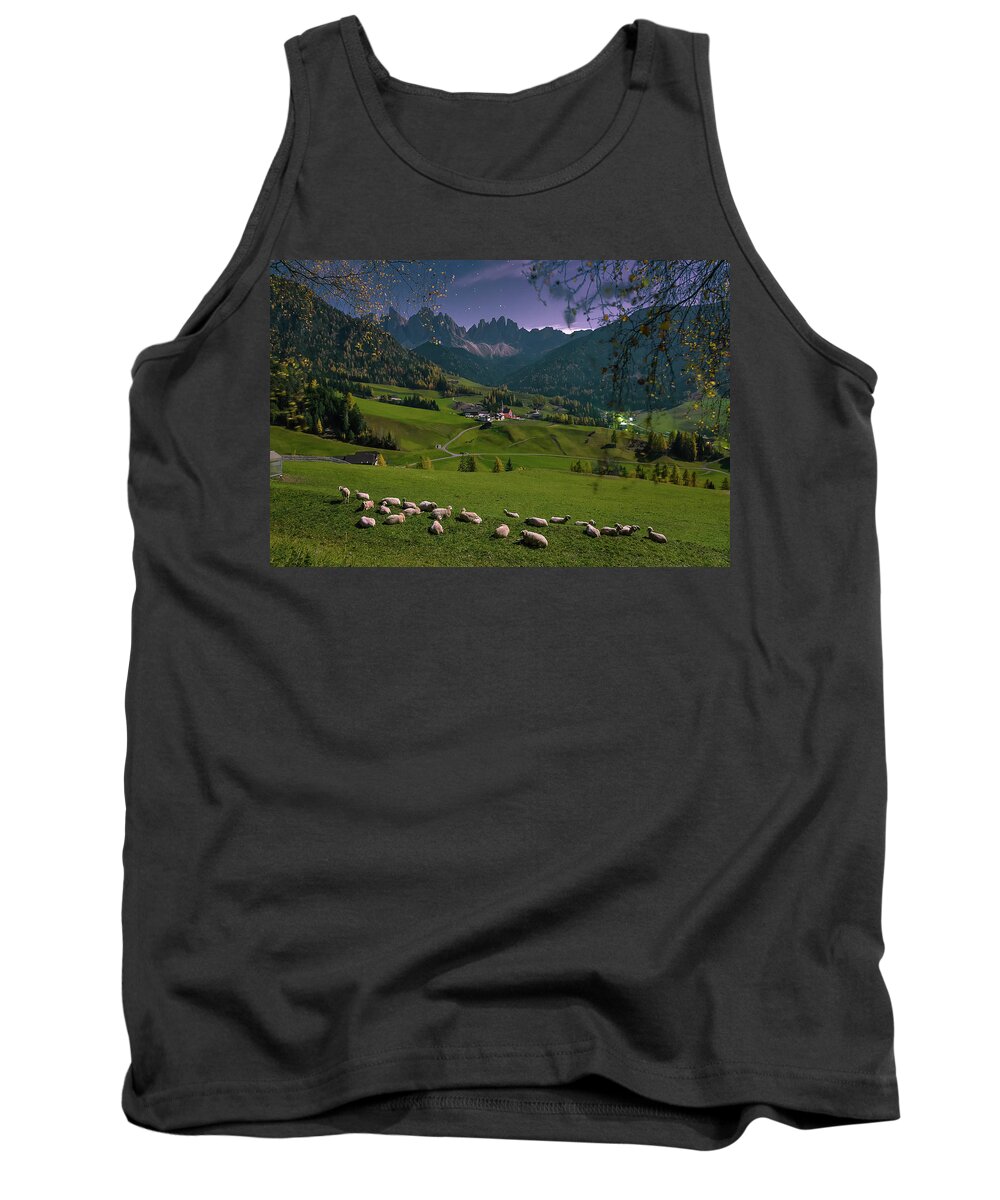 Santa Maddalena Tank Top featuring the photograph Sheep in Peace by Elias Pentikis
