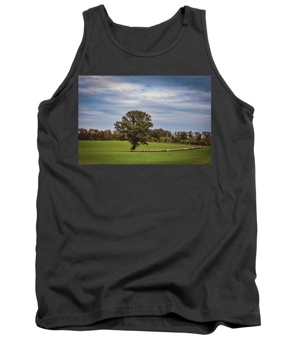 Tree Tank Top featuring the photograph Simple Joys by Michelle Wittensoldner