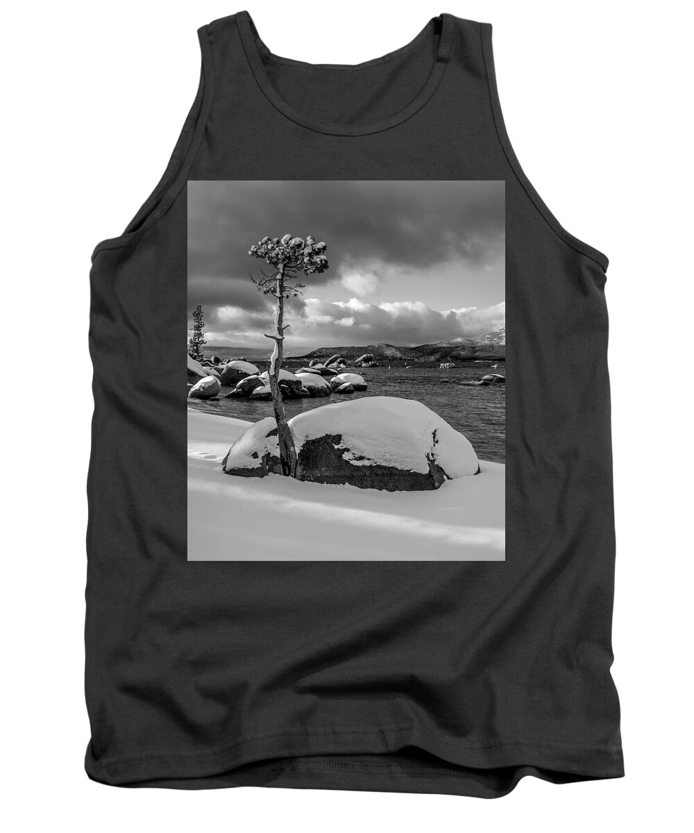 Lake Tank Top featuring the photograph Snow Tree by Martin Gollery