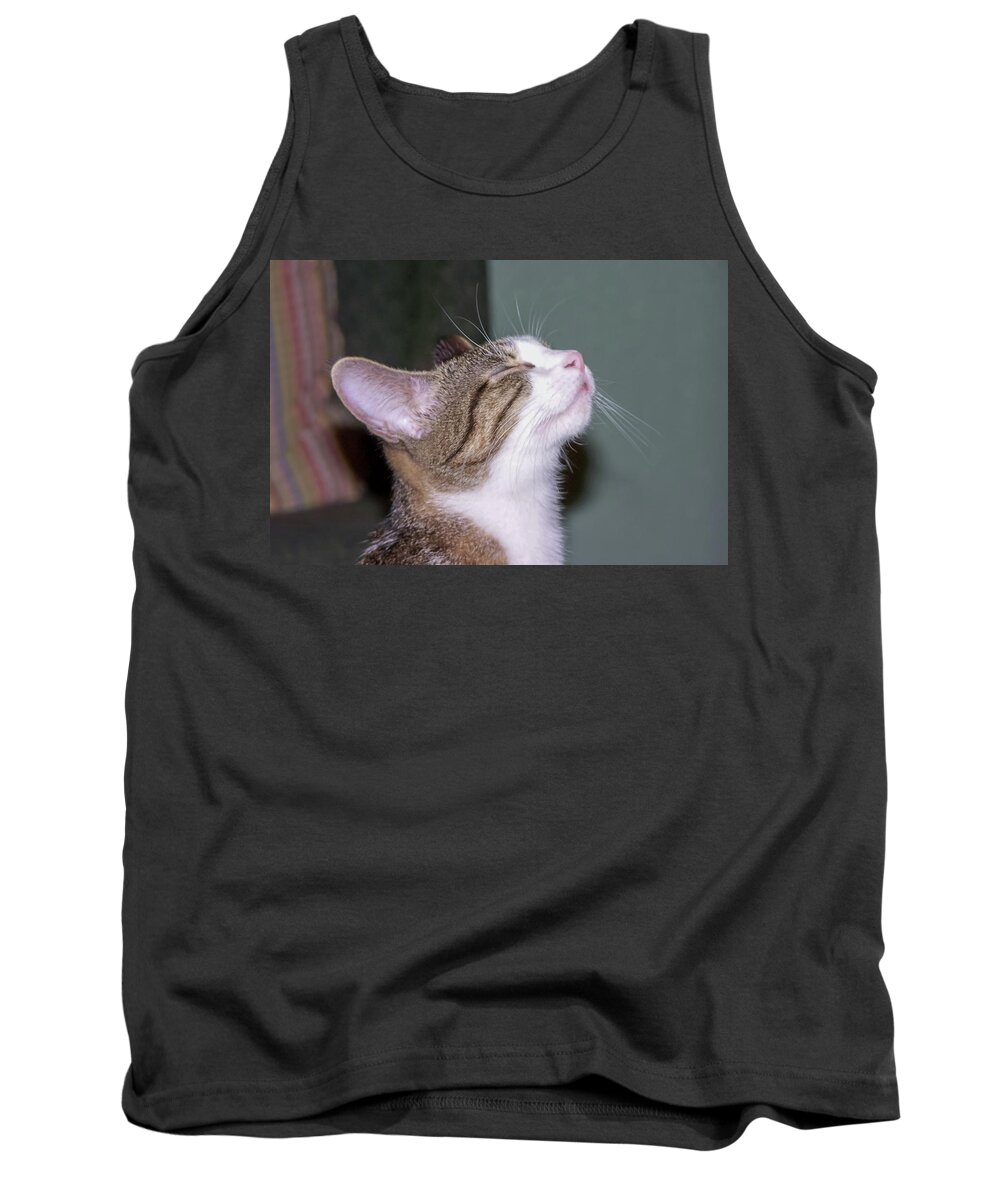 Kitty Tank Top featuring the photograph So Pleased by Chuck Shafer