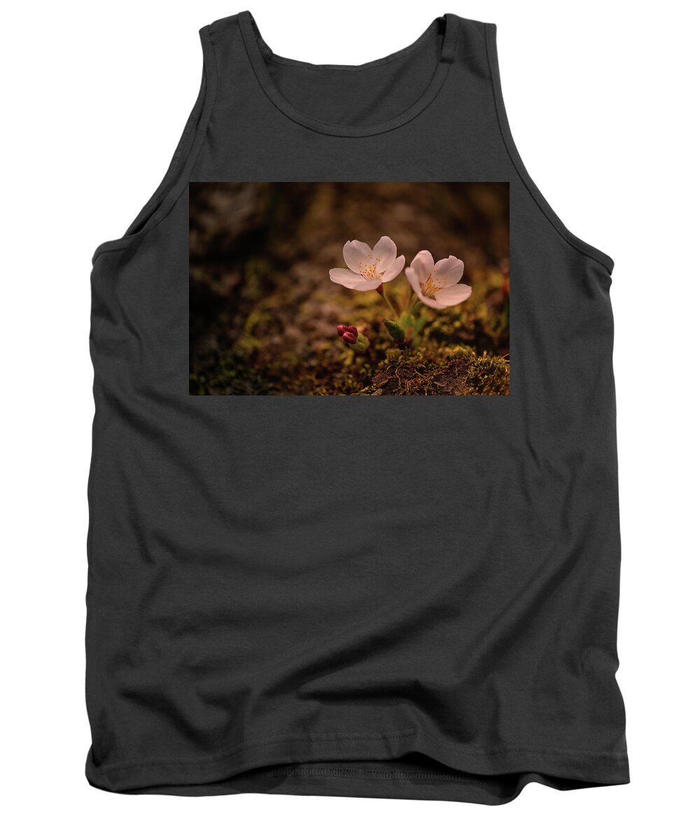 University Of Washington Tank Top featuring the photograph Spring Arrival in Seattle by Dan Mihai