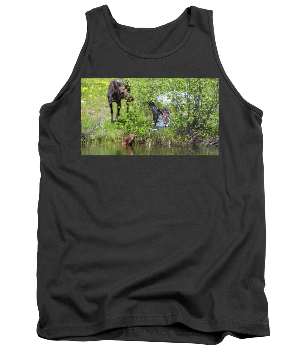 Calf Tank Top featuring the photograph Spring Deliveries by Kevin Dietrich