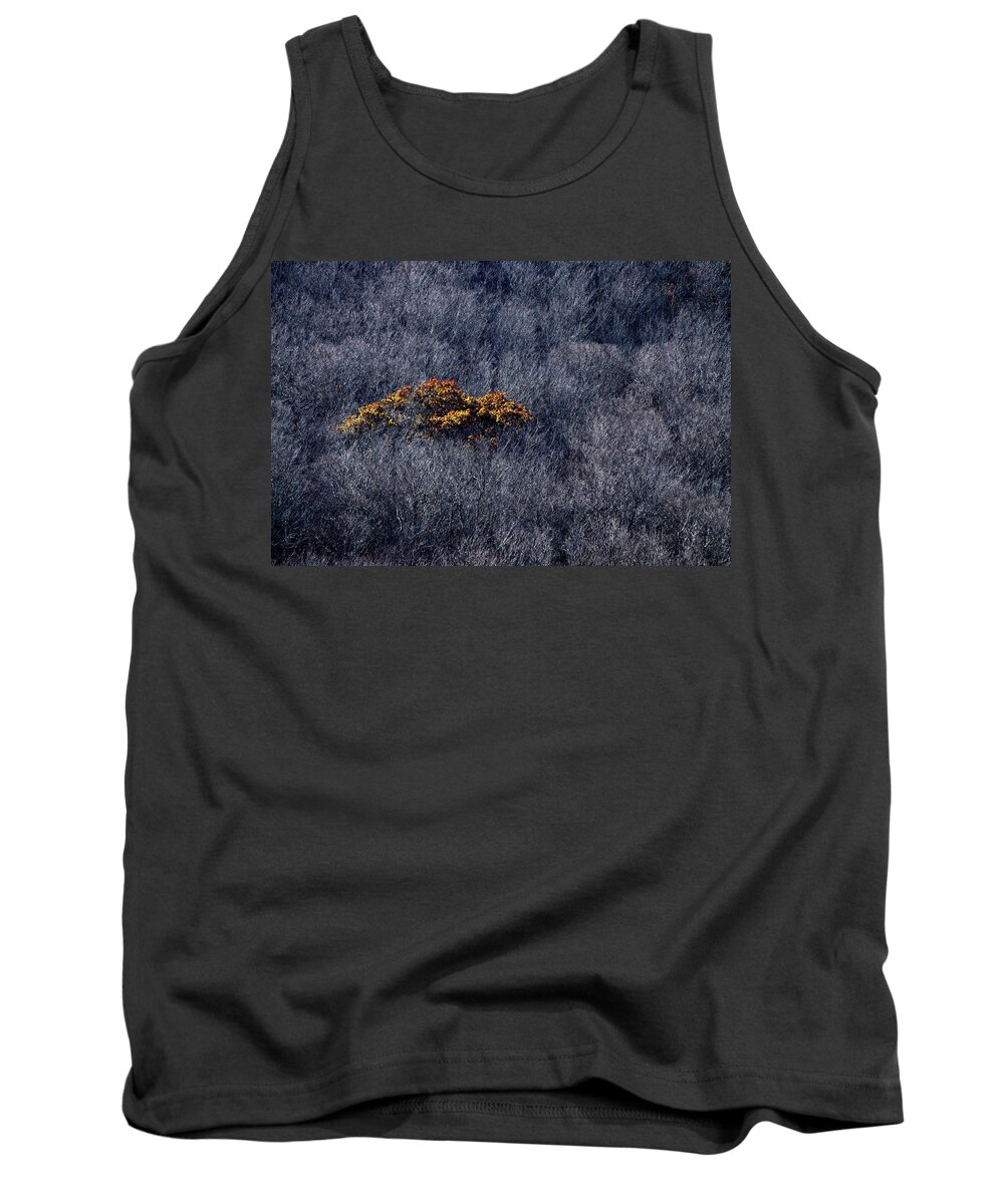 Color Tank Top featuring the photograph Stand Out by Lisa Burbach