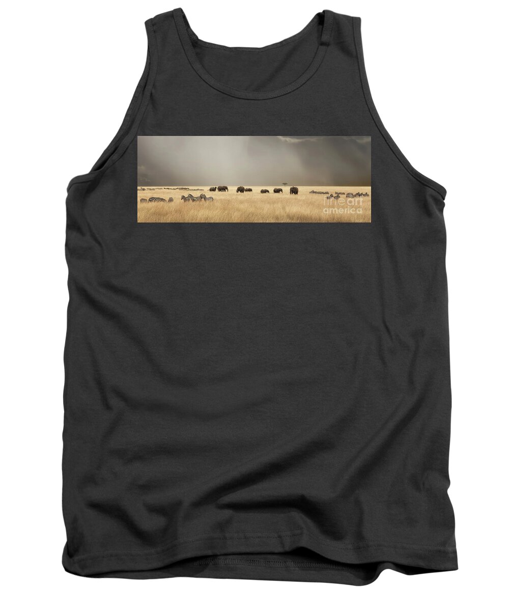 Mara Tank Top featuring the photograph Stormy skies over the masai Mara with elephants and zebras by Jane Rix