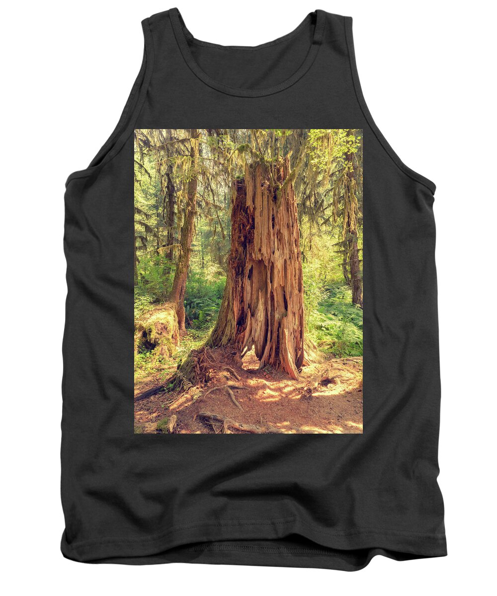 Stone Tank Top featuring the photograph Stump in the Rainforest by Kyle Lee