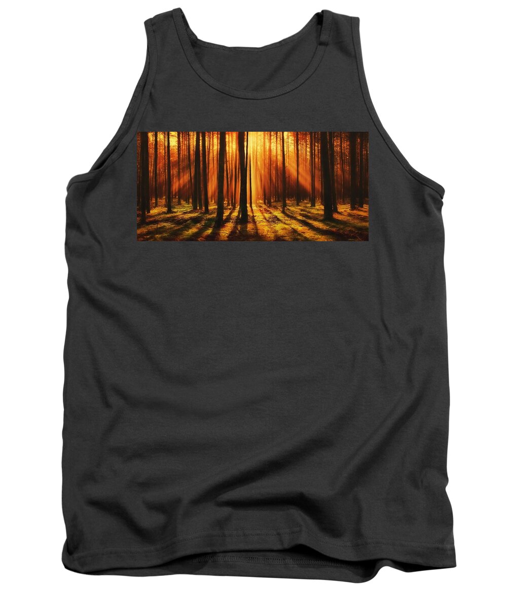 Forest Tank Top featuring the photograph Sunlight Forest by Teresa Trotter