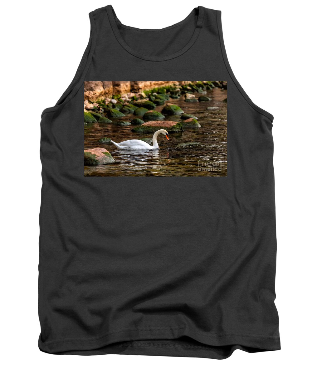 Photography Tank Top featuring the photograph Swan and Moss by Alma Danison