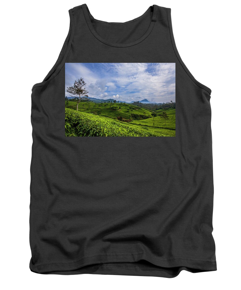 Landscape Tank Top featuring the photograph Tea Plantation by Irman Andriana