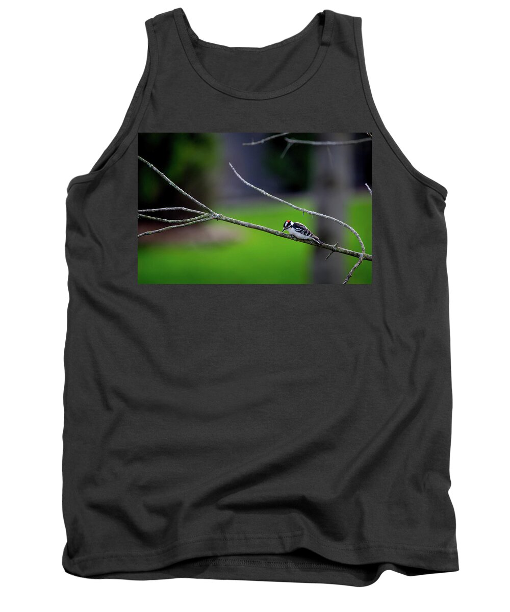 Photographs Tank Top featuring the photograph The Downey Woodpecker by Pheasant Run Gallery