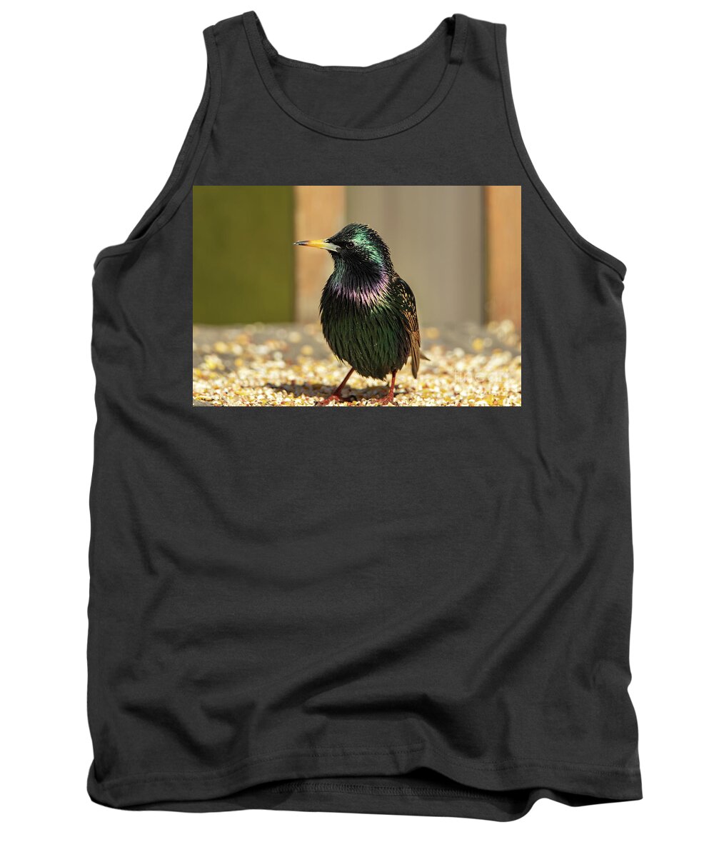 Bird Tank Top featuring the photograph The Iridescent Plumage of a Starling Bird by Sandra J's