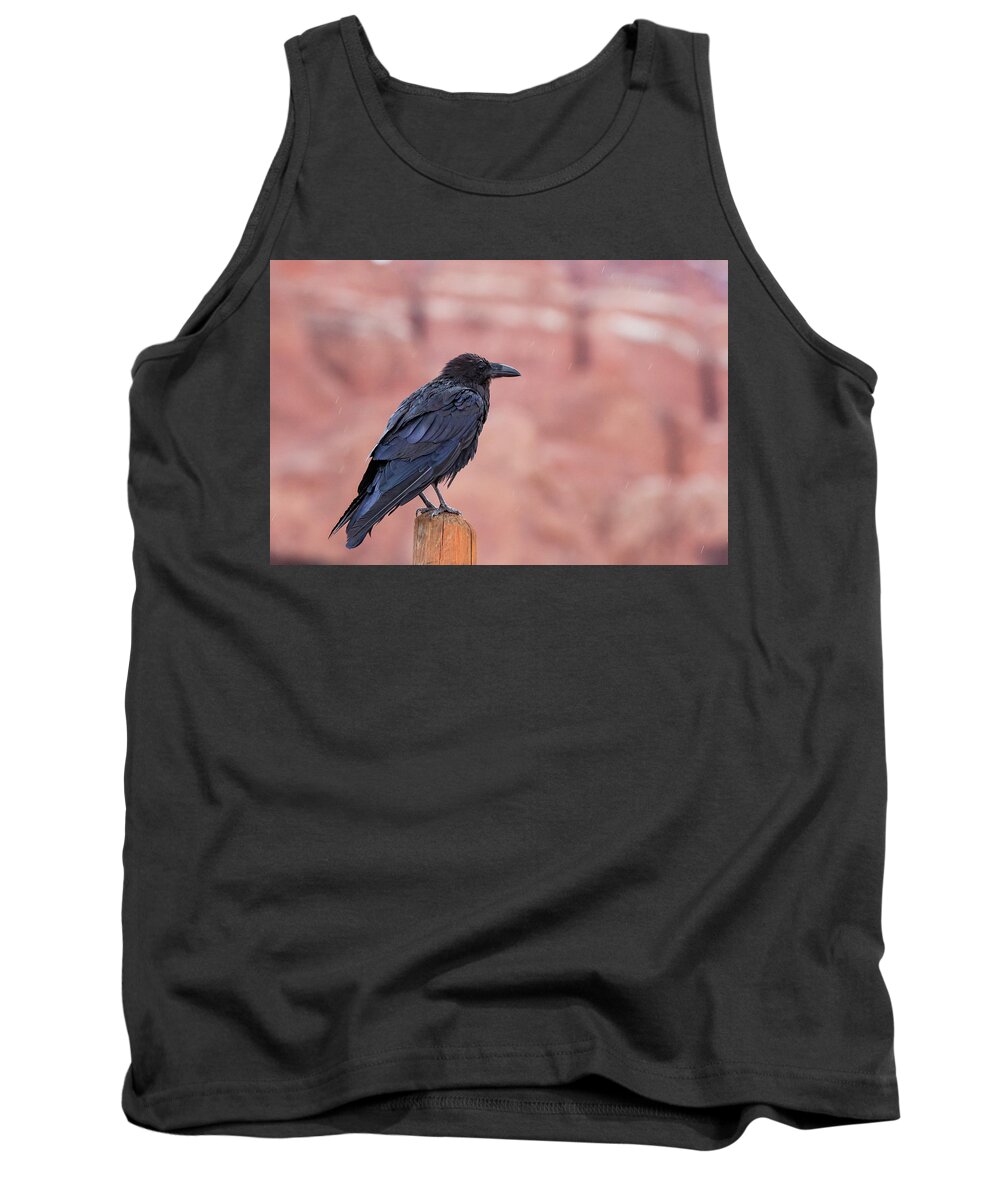 Rain Tank Top featuring the photograph The Rainy Raven by Kyle Lee