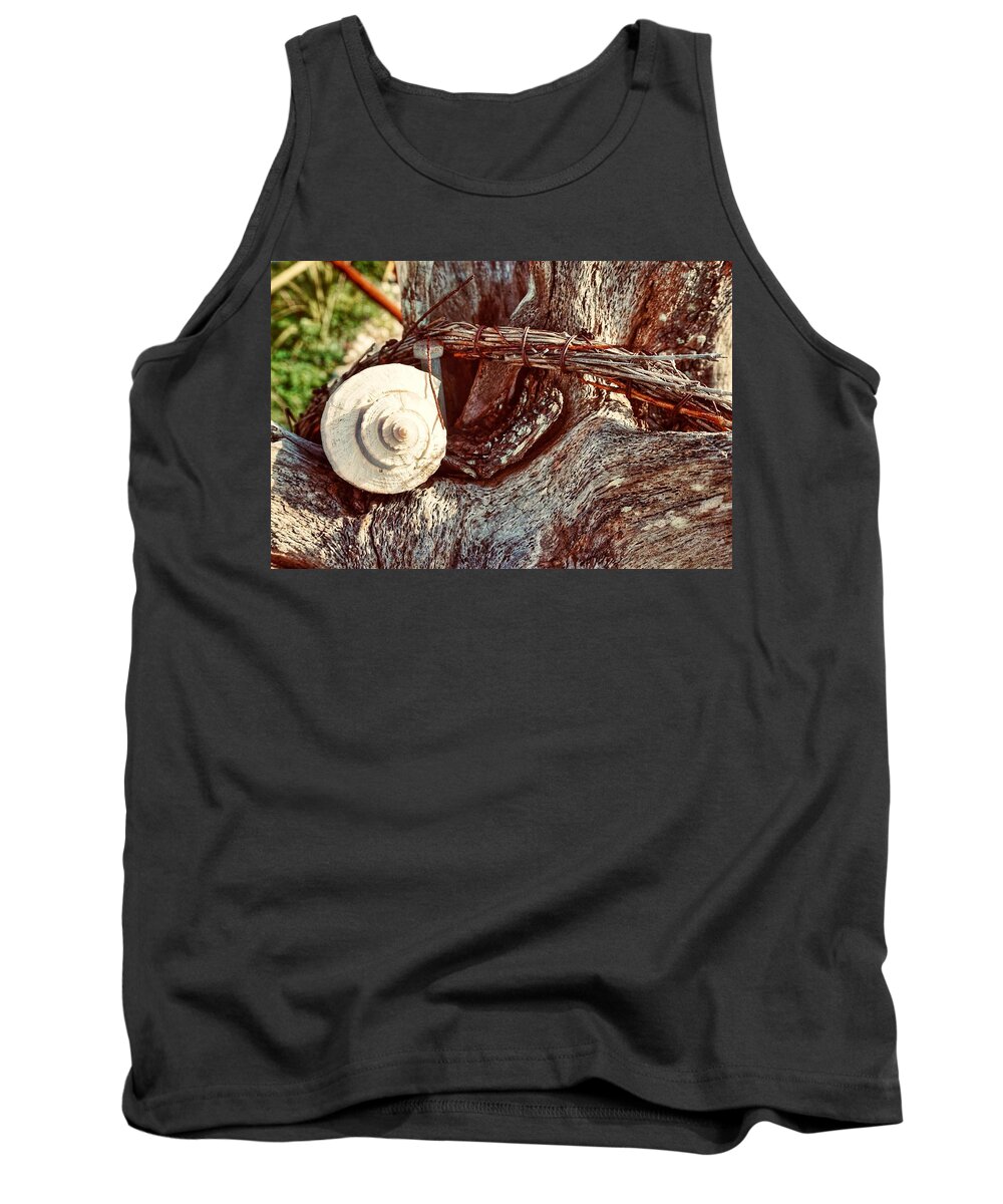 Shells Tank Top featuring the photograph The Shell That Flew by Patricia Greer