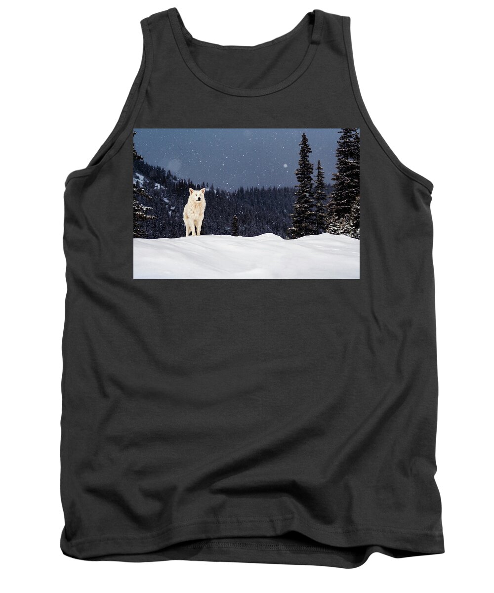 Animals Tank Top featuring the photograph The Wolf by Evgeni Dinev