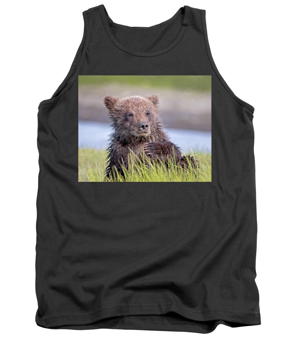 Grizzly Bear Tank Top featuring the photograph Thinking it Over by Jack Bell