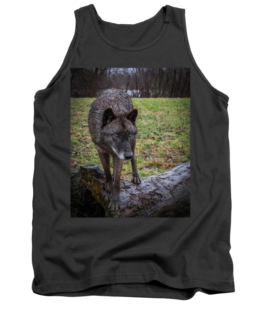 Black Wolf Wolves Tank Top featuring the photograph This is my Log by Laura Hedien