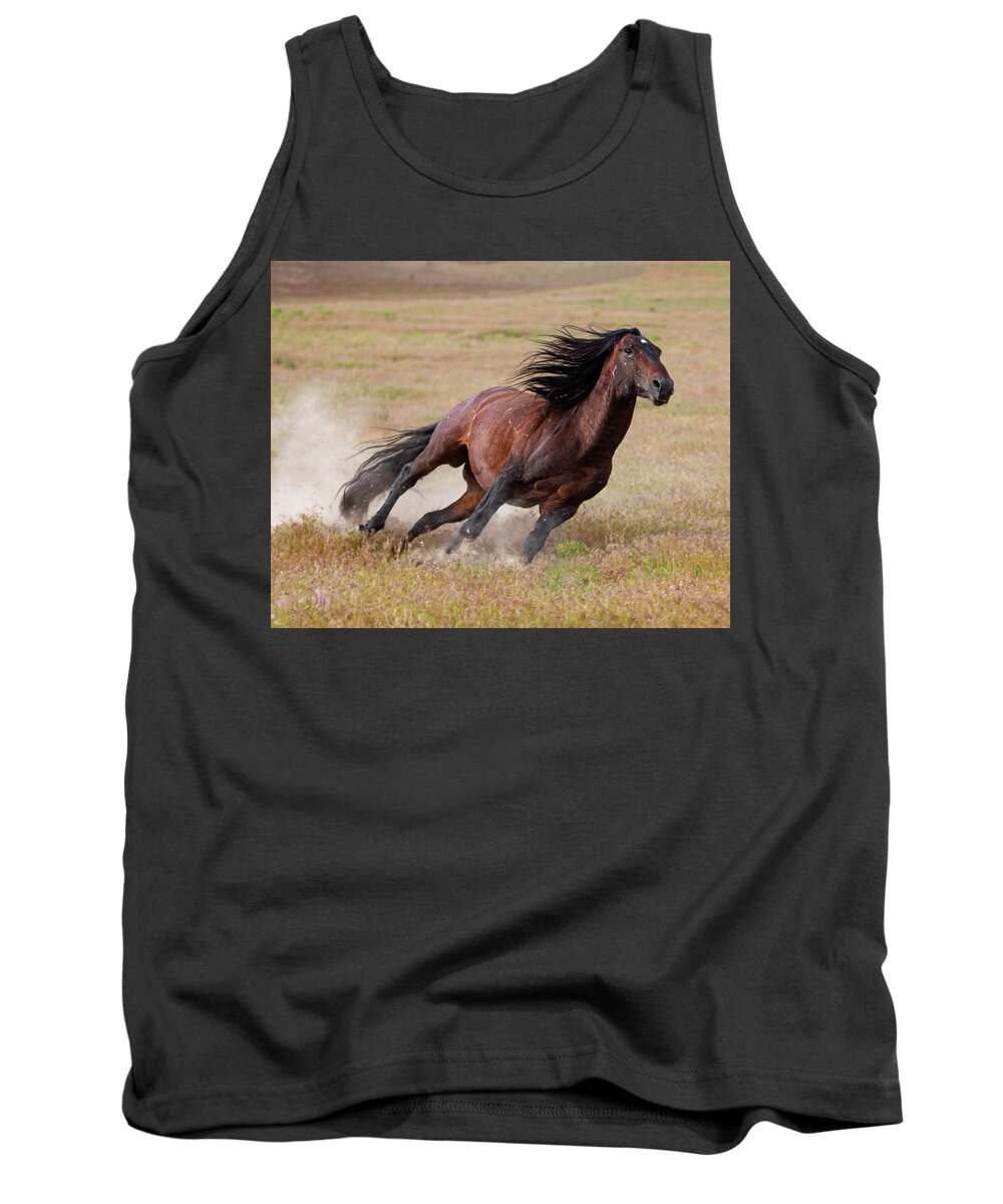 Wild Horses Tank Top featuring the photograph Tight Curves by Mary Hone