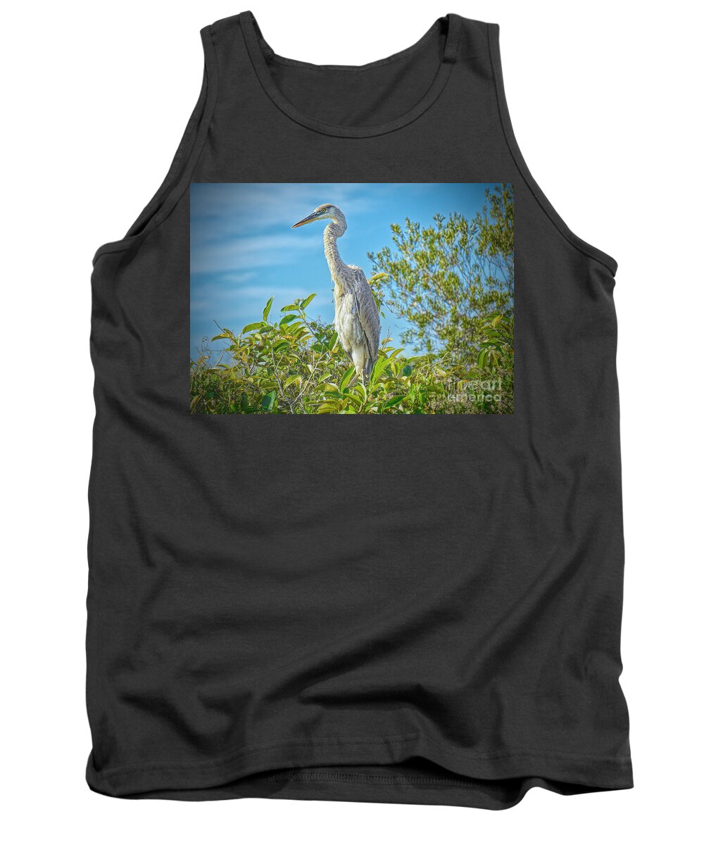 Ardeida Tank Top featuring the photograph Towering over the Glades by Judy Kay