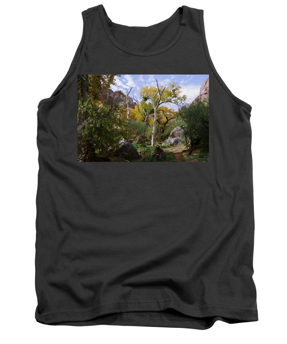 Canyon Tank Top featuring the photograph Trail of Canyon Peace by Hans Brakob