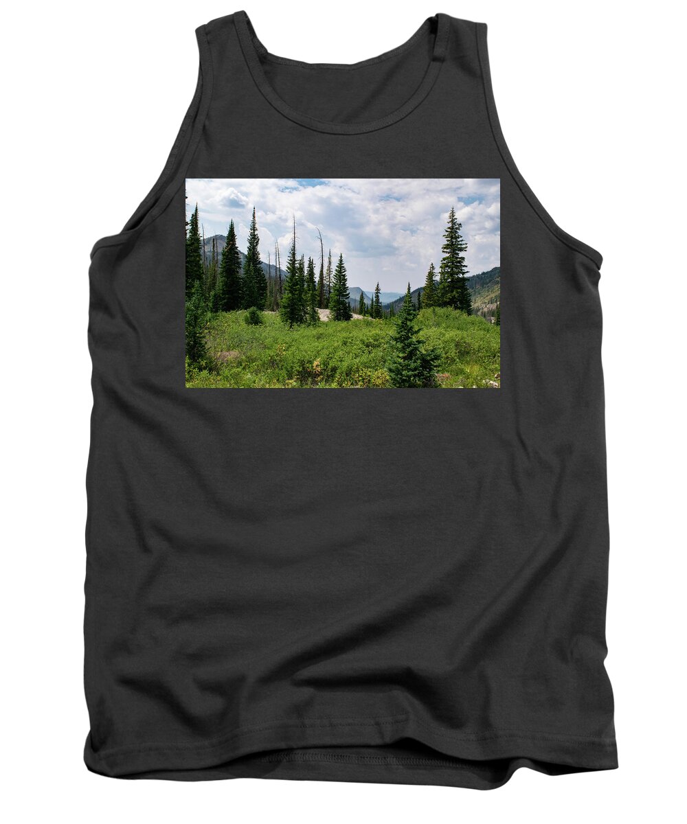 Mountain Tank Top featuring the photograph Trail to Gilpin Lake by Nicole Lloyd