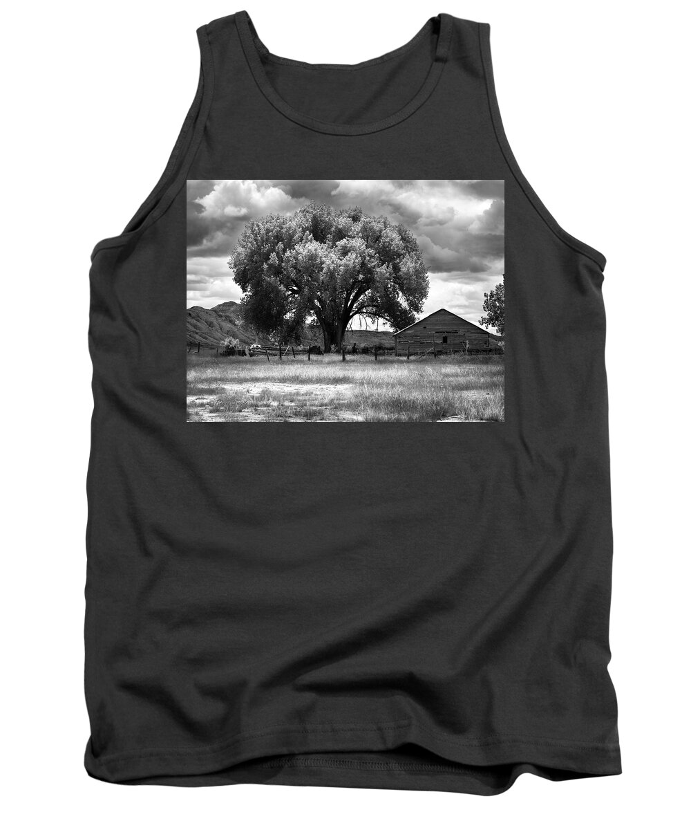 Beautiful Tank Top featuring the photograph Tree and Barn 1 BW by Roger Snyder