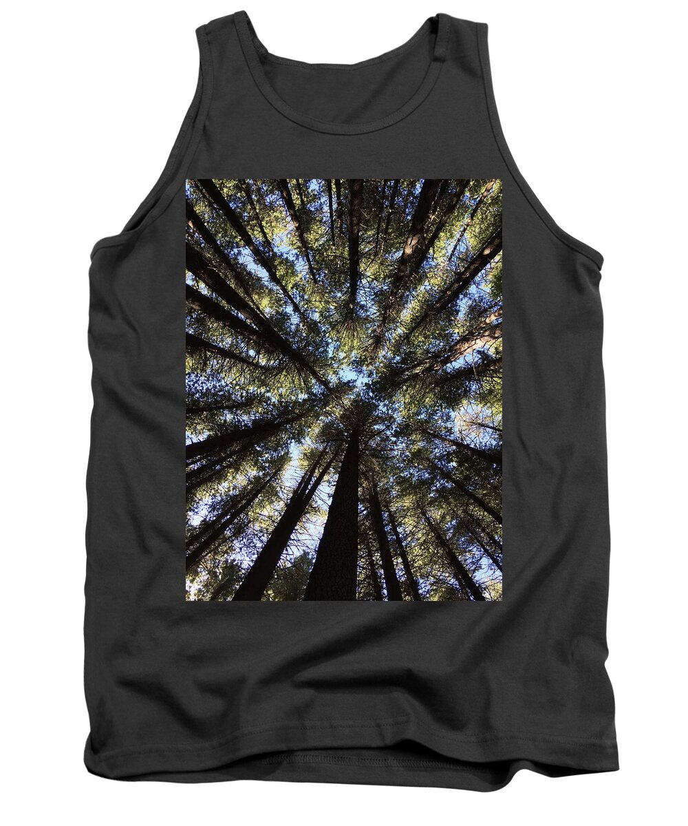 Sugar Pines Tank Top featuring the photograph Tree Canopy by Marlene Challis