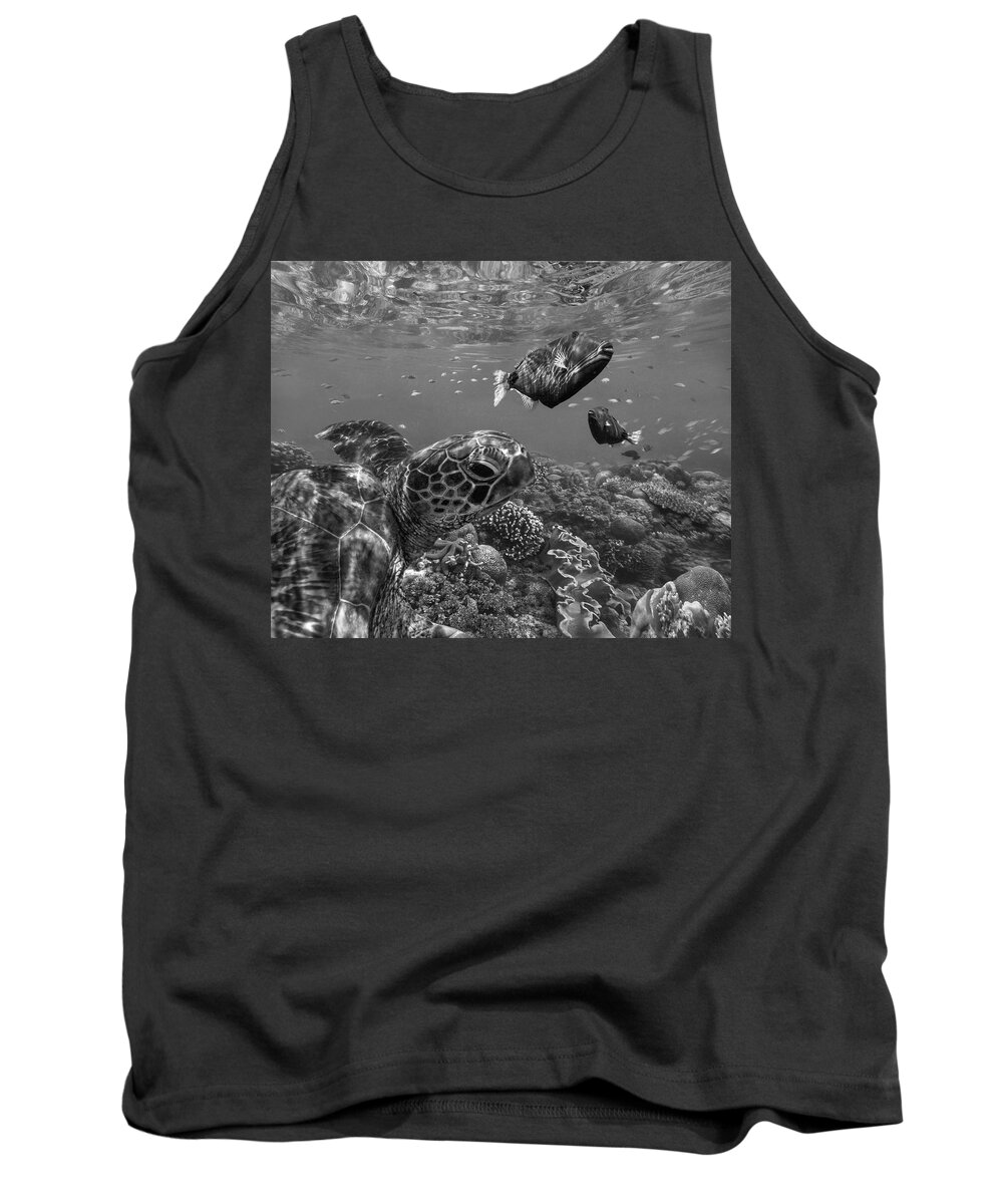Disk1215 Tank Top featuring the photograph Turtle And Triggerfish by Tim Fitzharris