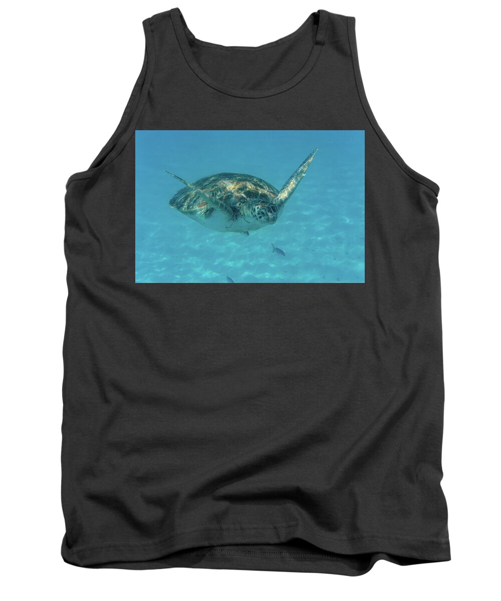 Turtle Tank Top featuring the photograph Turtle Approaching by Mark Hunter