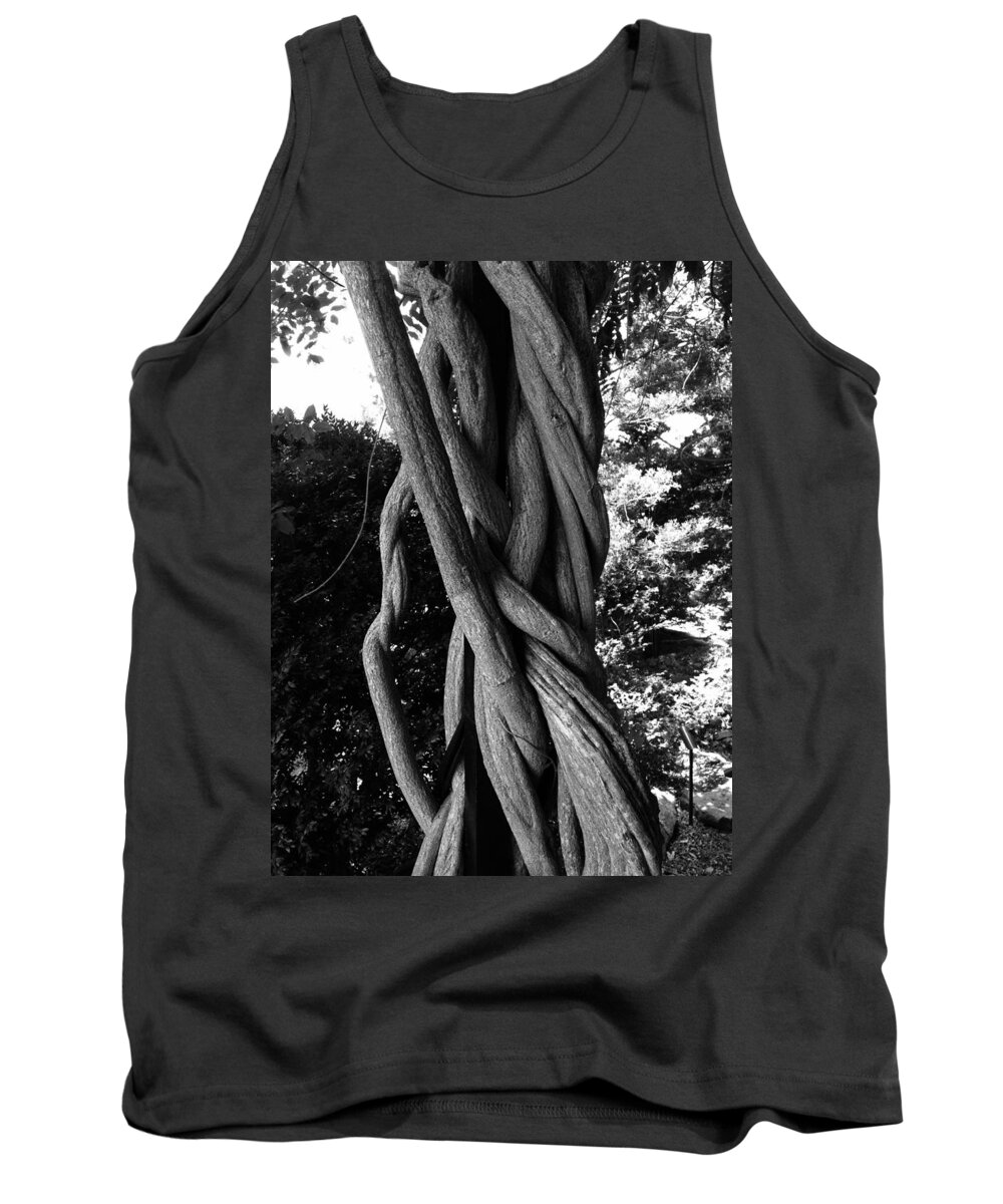 Tree Tank Top featuring the photograph Twisted Tree by Marty Klar