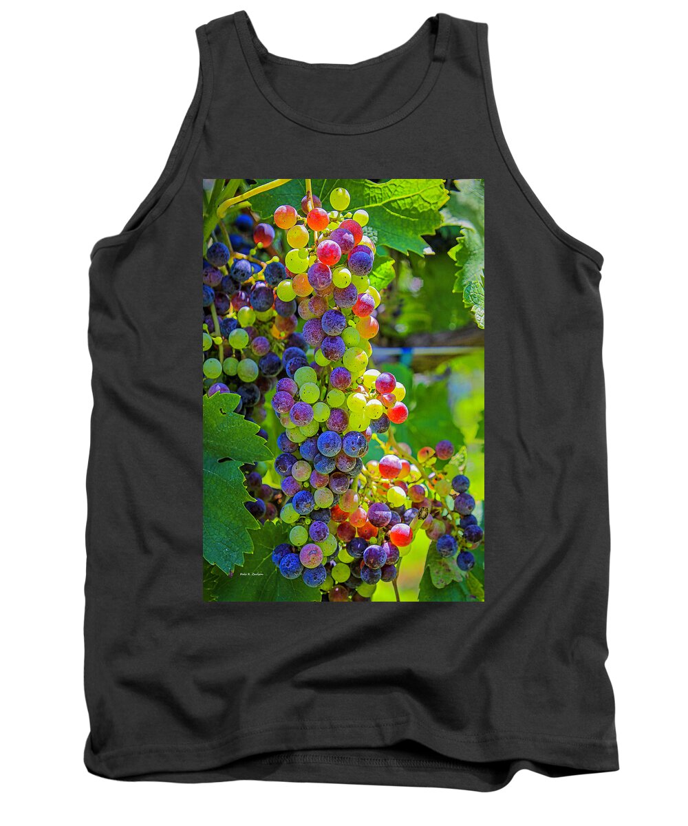 Grapes Tank Top featuring the photograph Veraison by Dale R Carlson