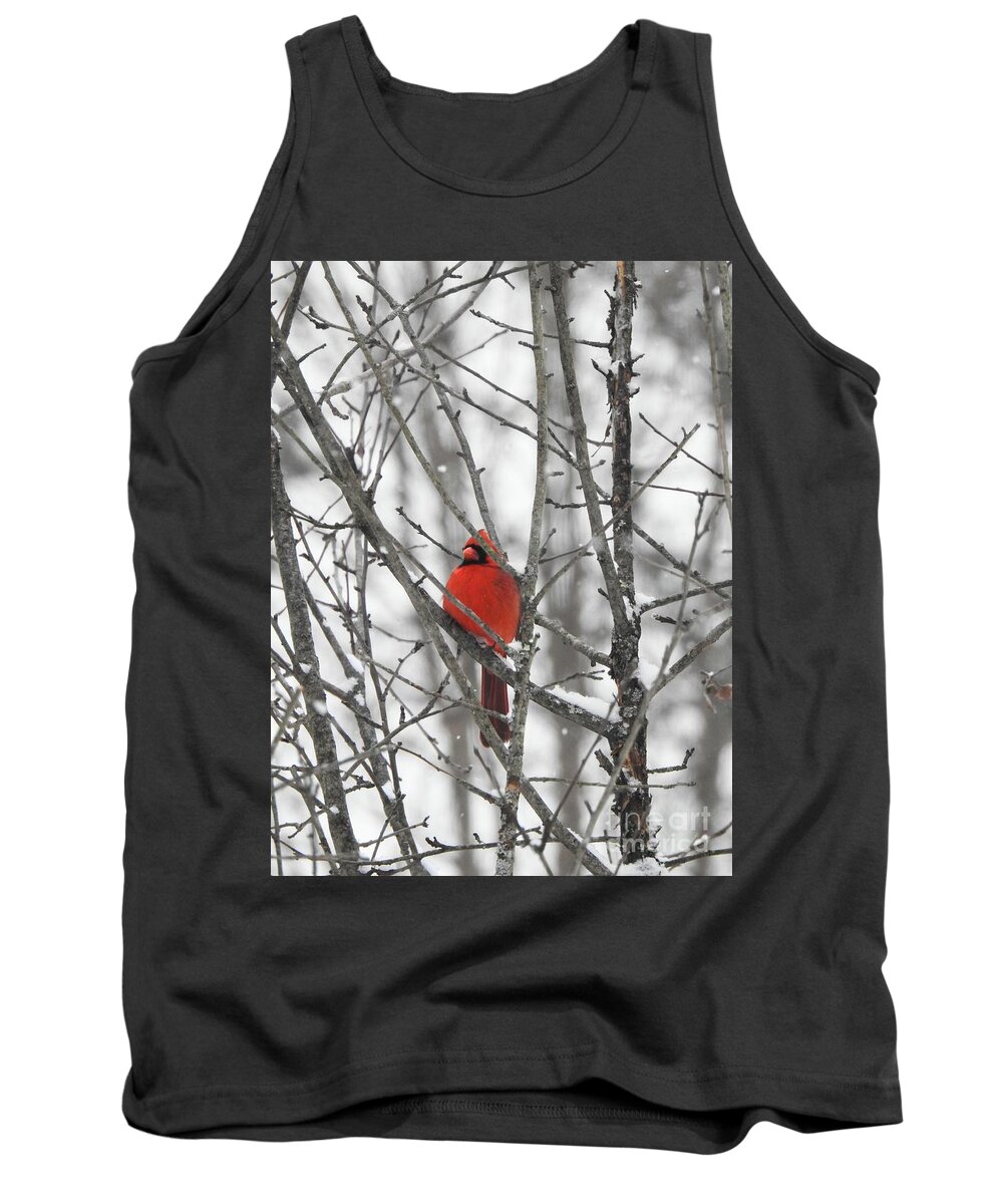 Northern Cardinal Tank Top featuring the photograph Waiting on Spring by Eunice Miller