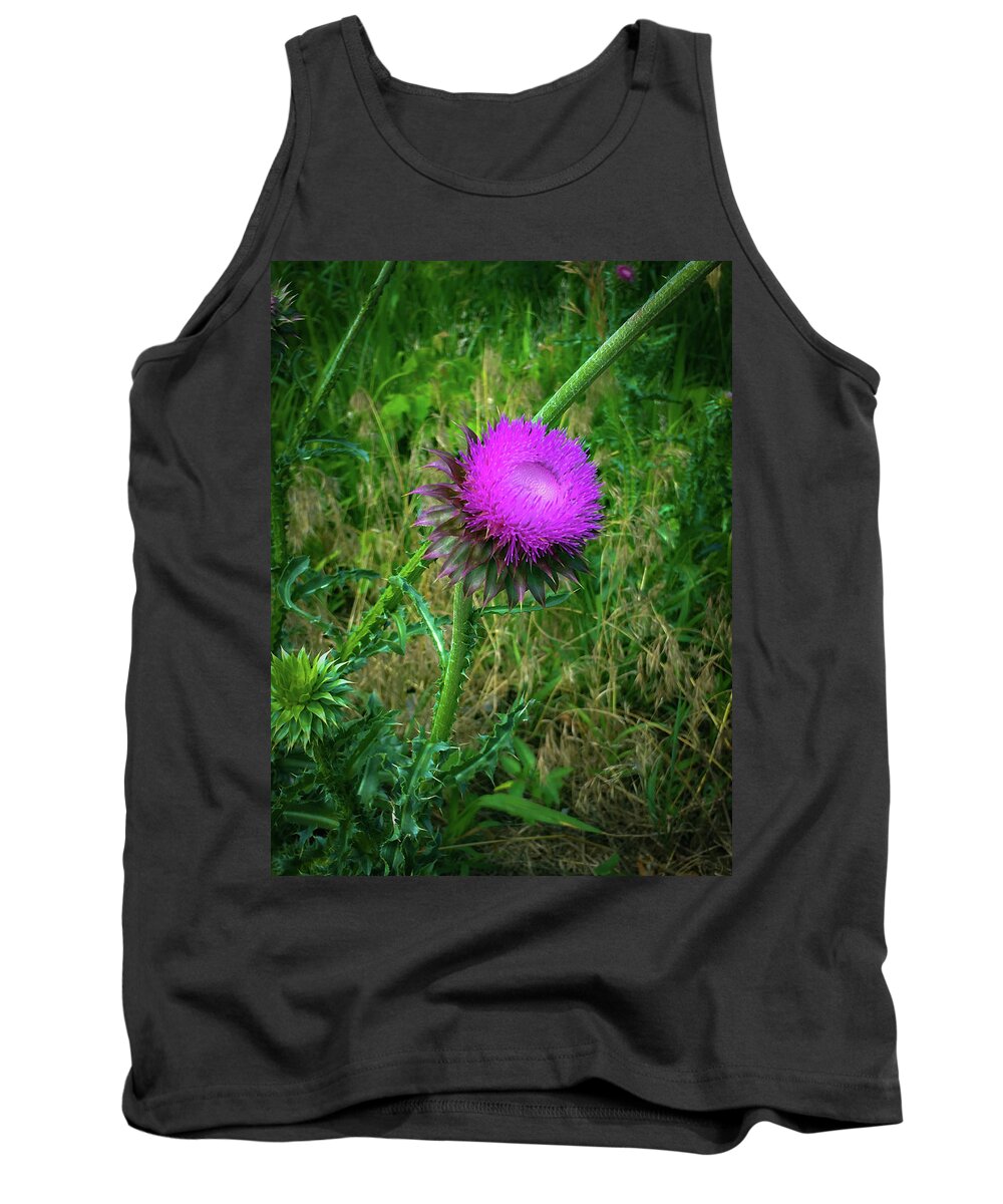 Thistle Tank Top featuring the photograph Wanna Be in Scotland by Lora J Wilson