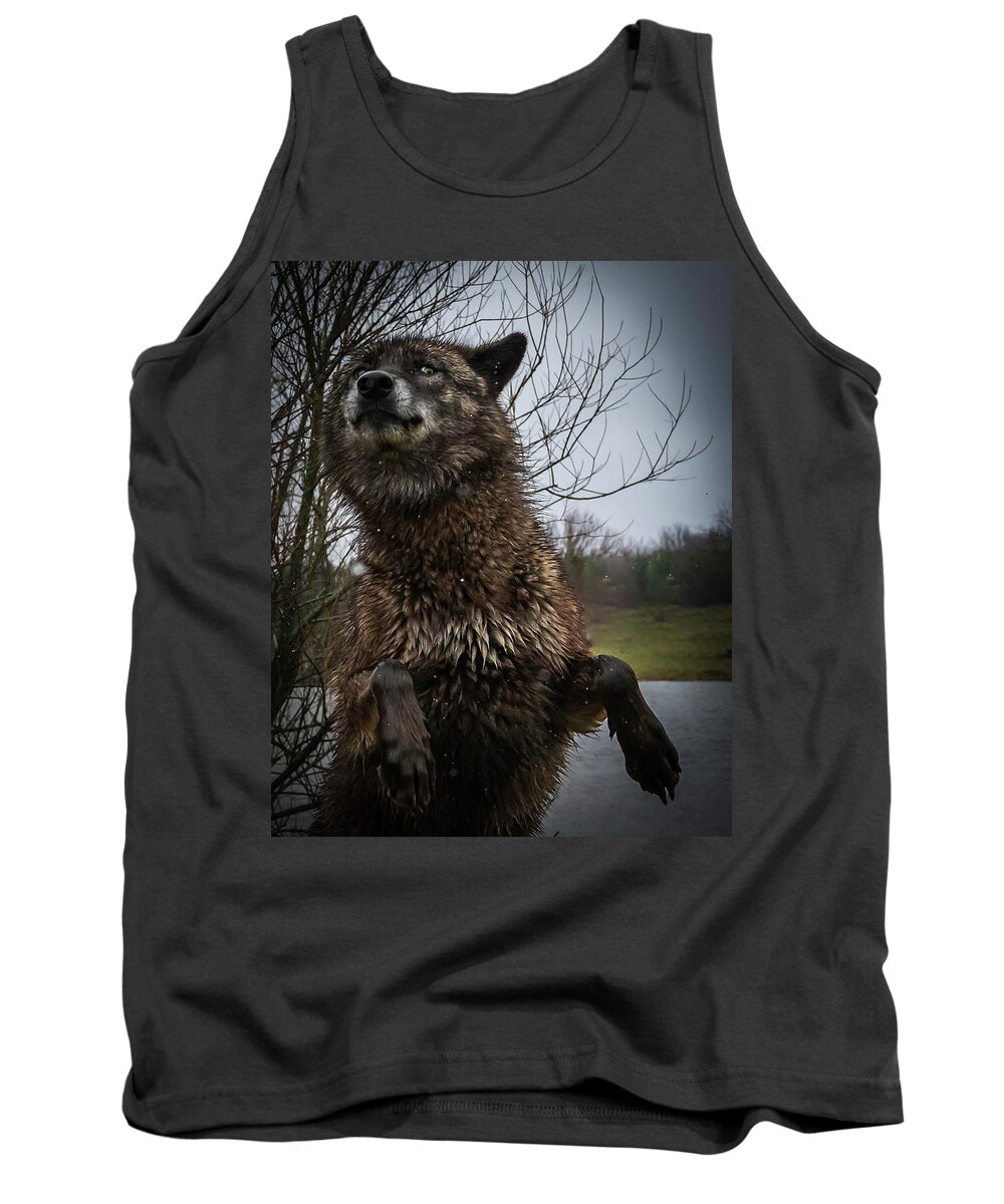 Black Wolf Wolves Tank Top featuring the photograph Watch the Eyes by Laura Hedien