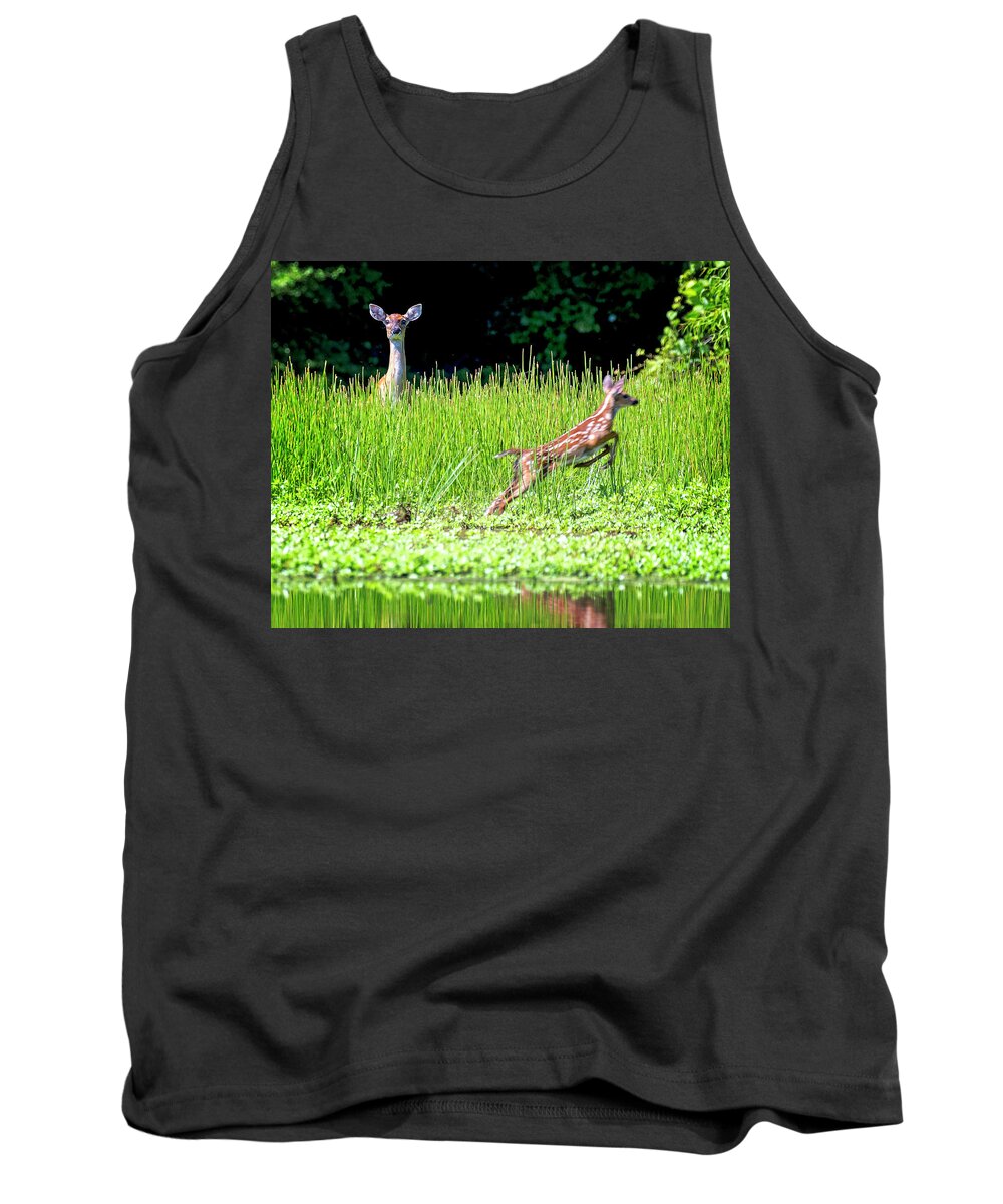Fawn Tank Top featuring the photograph Watchful Mother by Alan Raasch