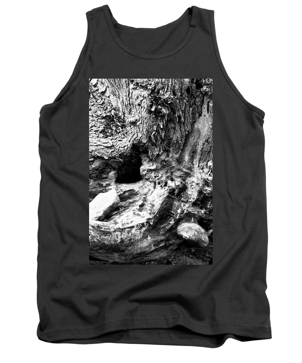 Stump Tank Top featuring the photograph Weathered Stump by Bob Decker