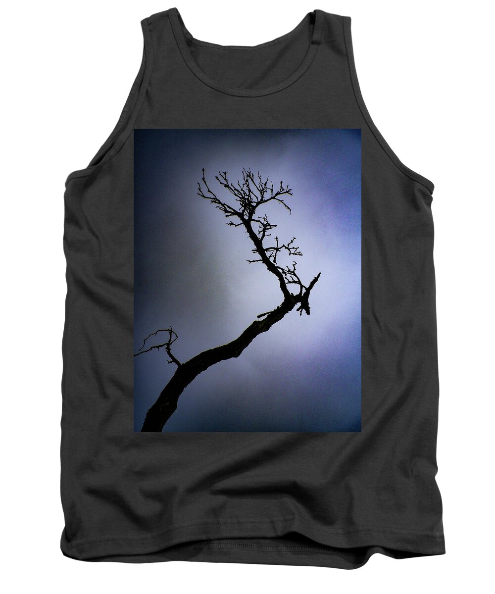 Branch Tank Top featuring the photograph Weathered Tree Branch Silhouette Bodmin Moor by Richard Brookes
