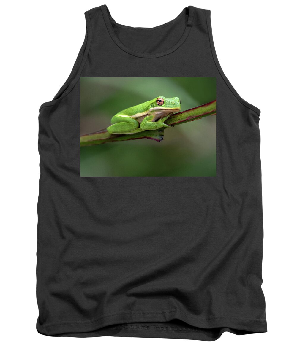 Frog Tank Top featuring the photograph Whats Up by Art Cole