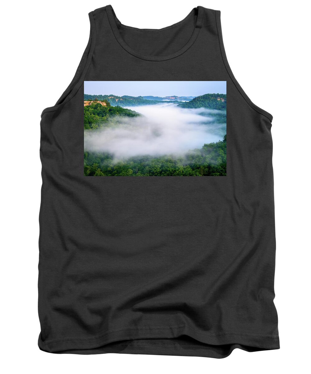 Chimney Top Rock Tank Top featuring the photograph Where Eagles Fly by Michael Scott