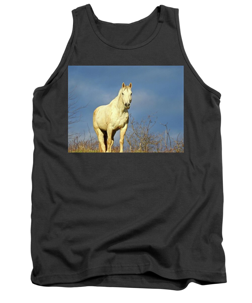  Tank Top featuring the photograph White Horse by Kathy Chism