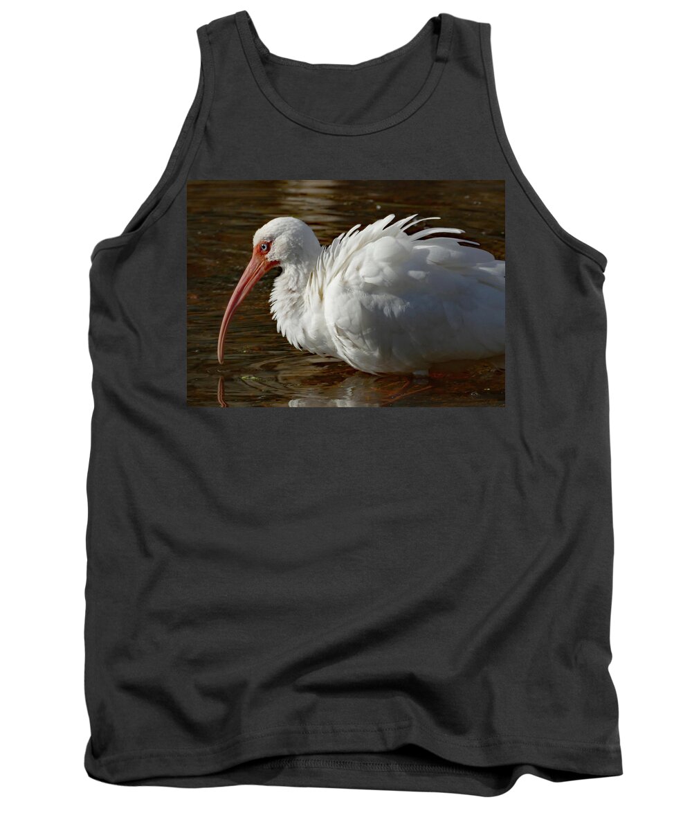 Birds Tank Top featuring the photograph White Ibis with Ruffled Feathers by Margaret Zabor