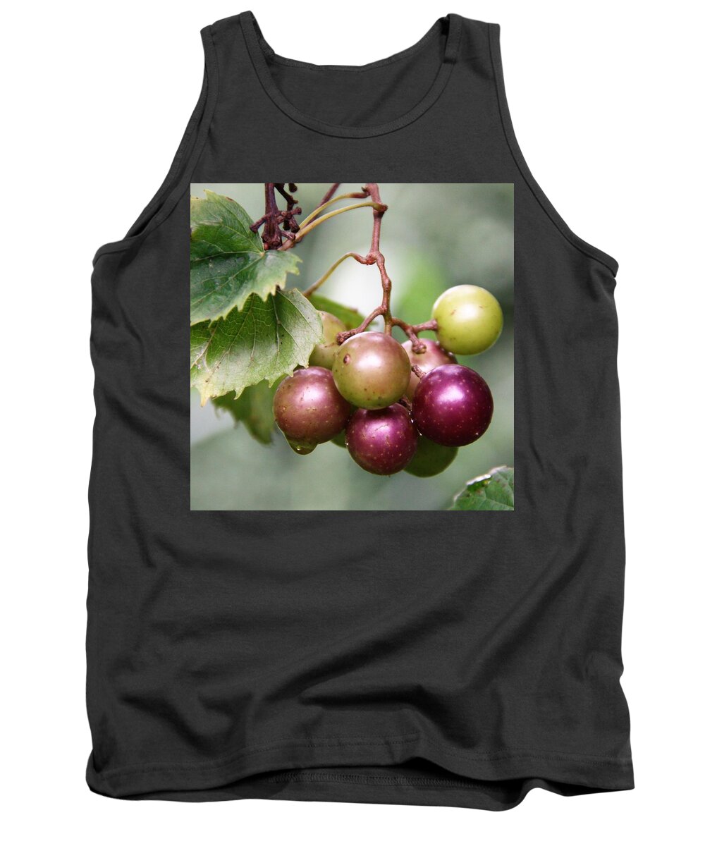 Wild Tank Top featuring the photograph Wild Muscadine Grapes by Philip And Robbie Bracco