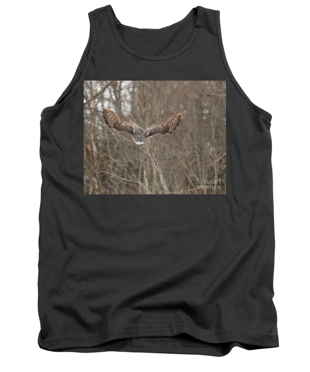 Great Gray Owl Tank Top featuring the photograph Wisdom on wings by Heather King