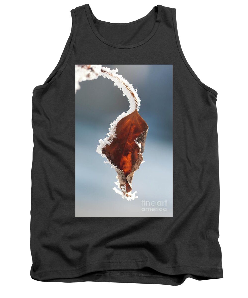 Colorado Tank Top featuring the photograph Wither and Frost by Julia McHugh
