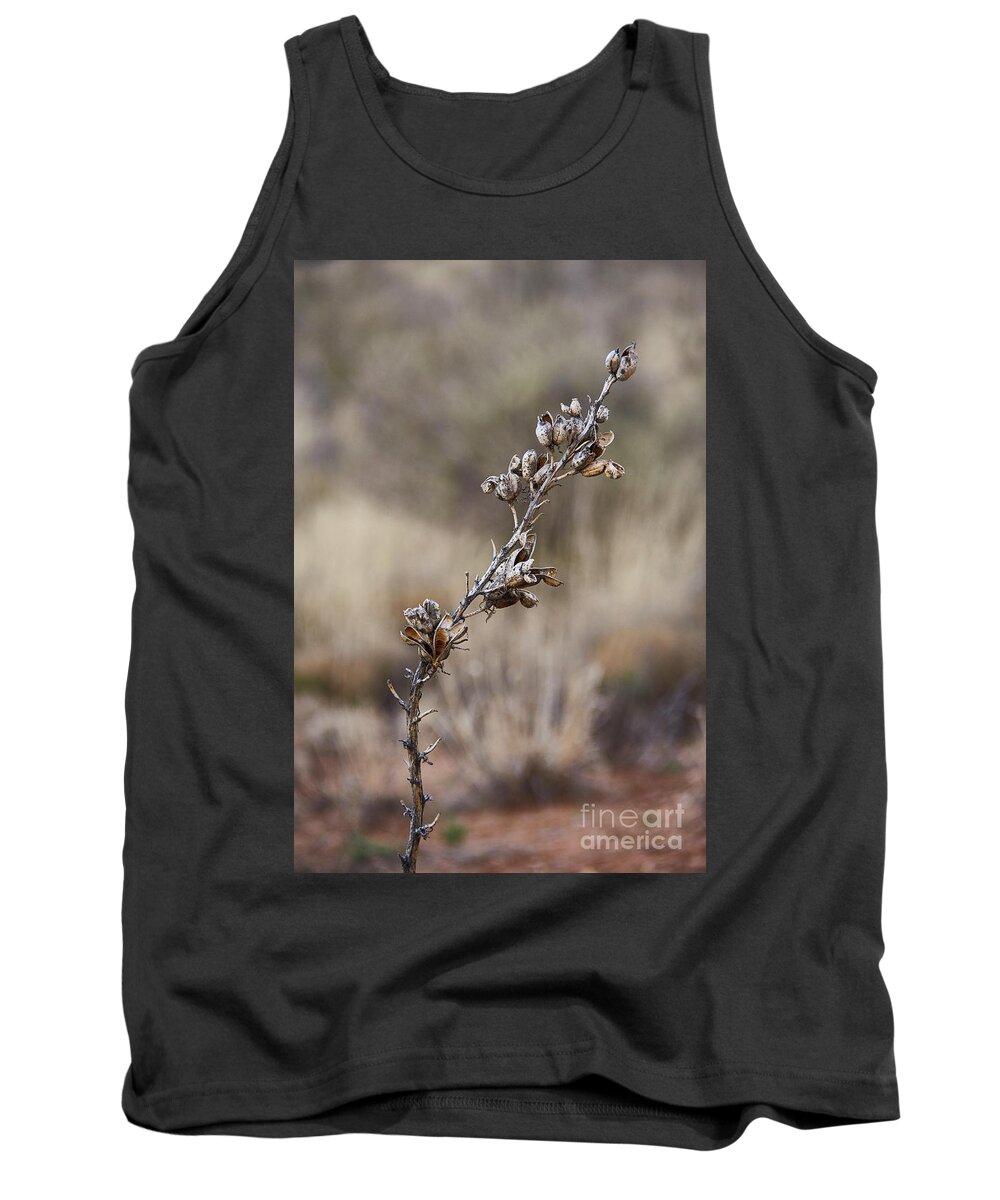 Yucca Tank Top featuring the photograph Yucca Seed Pods by Robert WK Clark