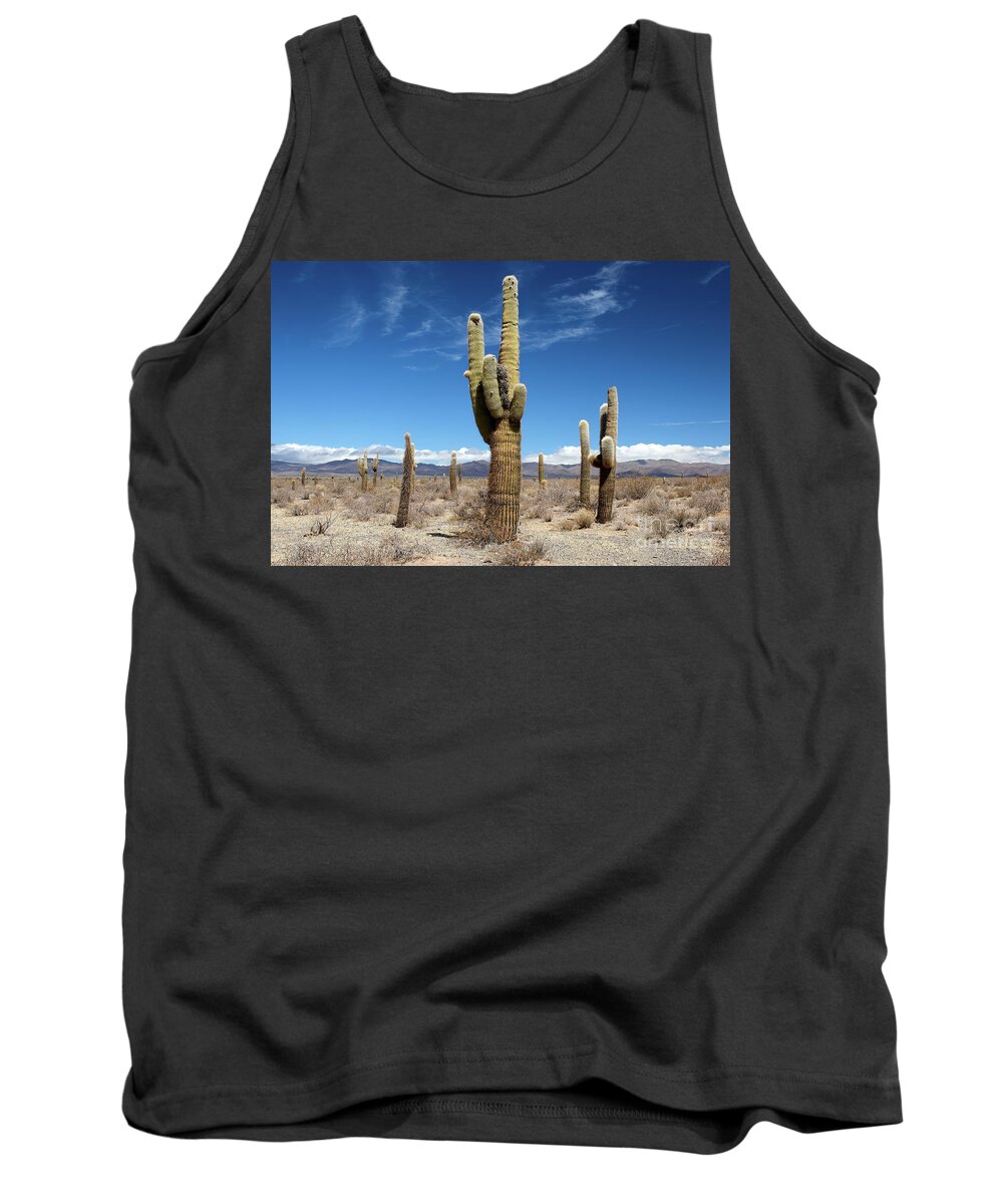 Argentina Tank Top featuring the photograph Cactus by Matteo Del Grosso