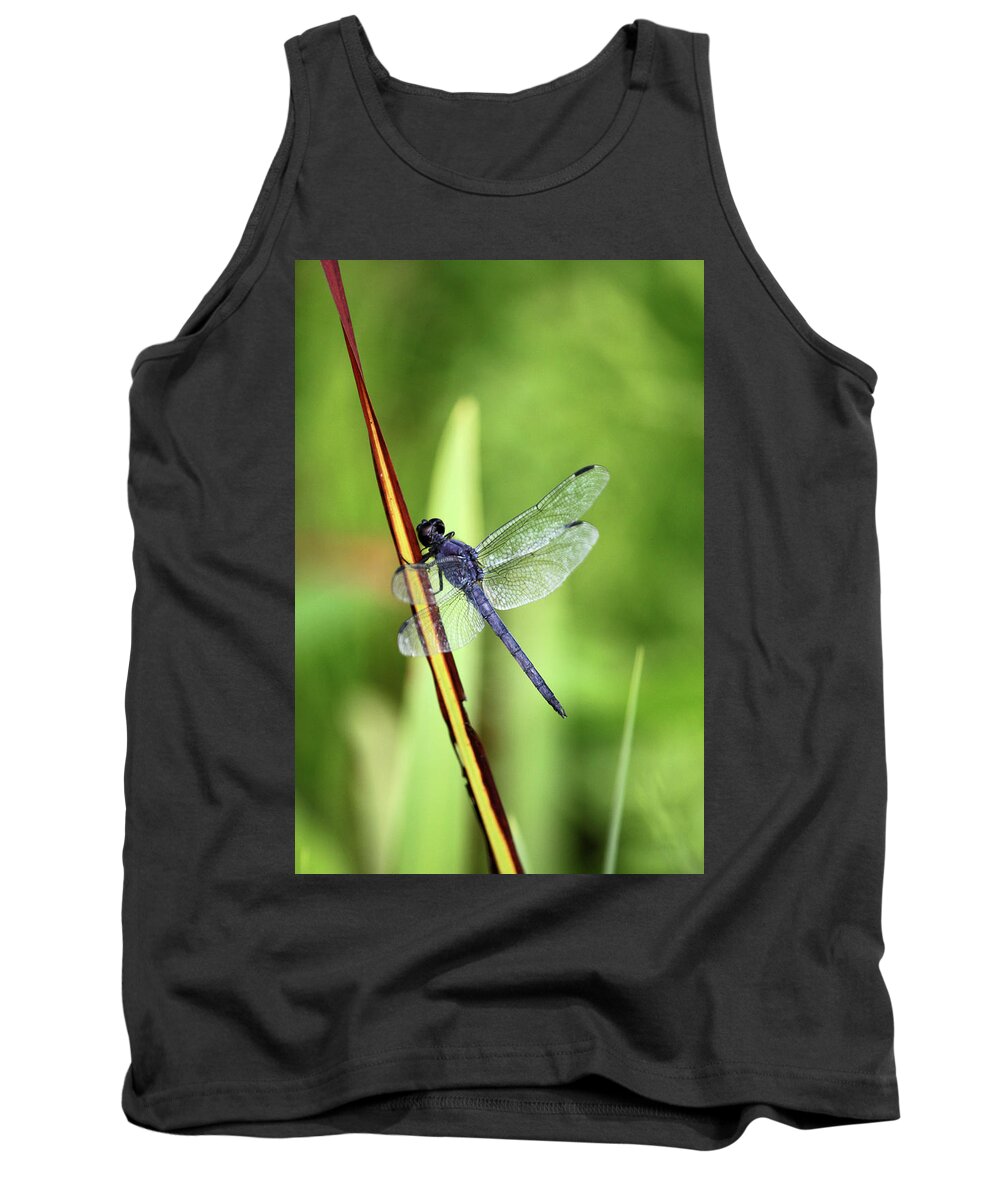Insect Tank Top featuring the photograph Dragonfly9224 #1 by Carolyn Stagger Cokley